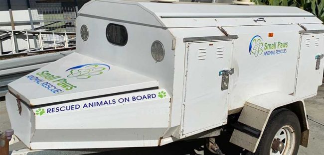 Small Paws Vinyl Car Stickers