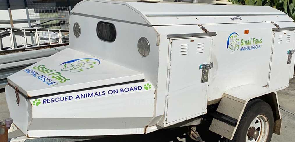 Small Paws Vinyl Car Stickers